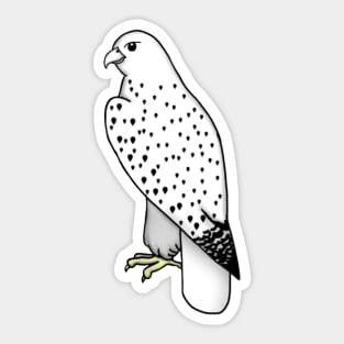 Gyrfalcon (Small Print) Sticker